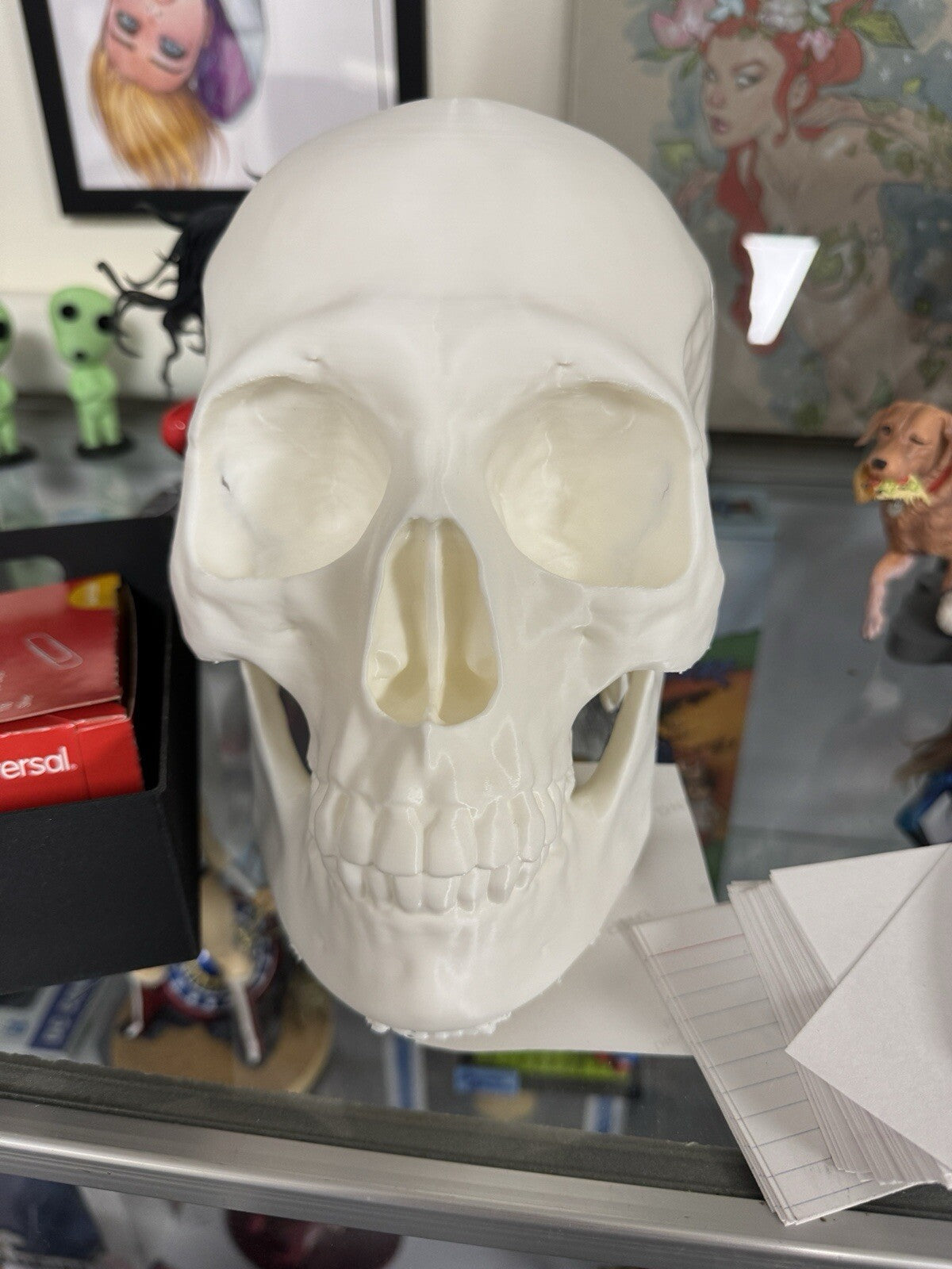 3D Printed Skull