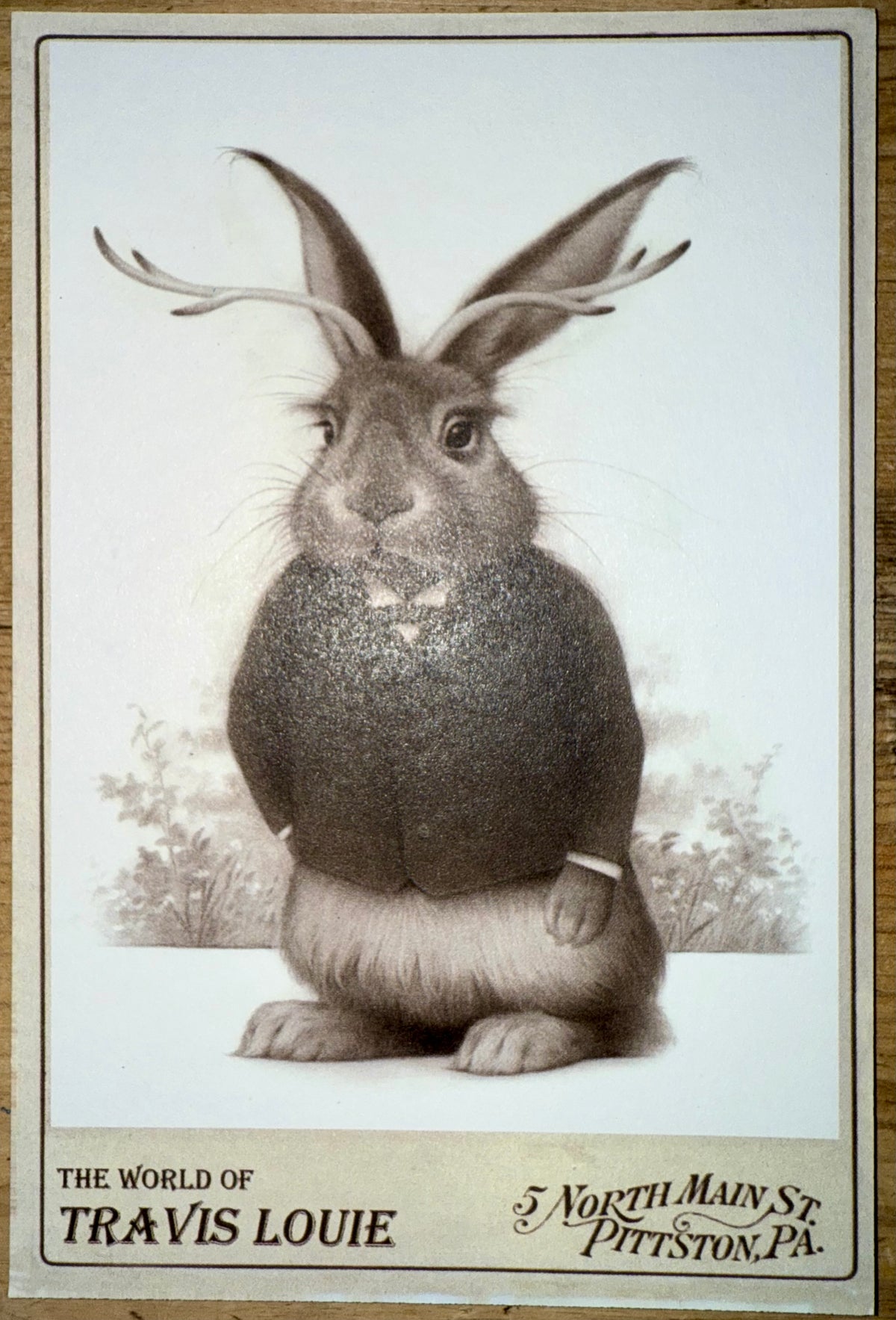 Travis Louie Cabinet Cards