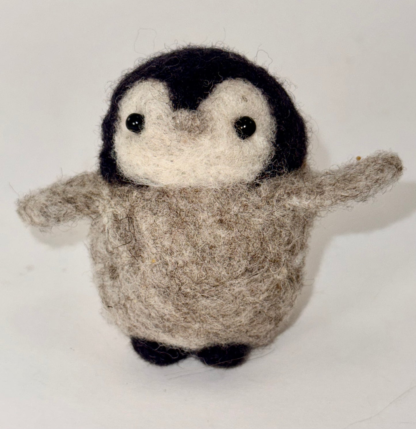 Baby Penguin