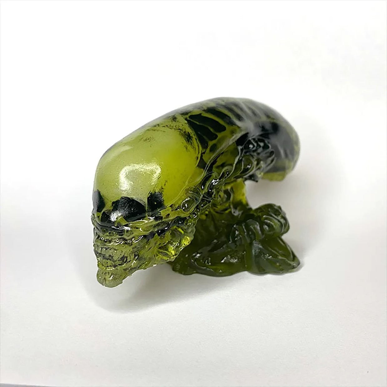 X-Ray Xenomorph Head