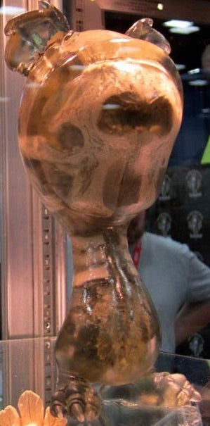 Infected Kuma Skelve - Black