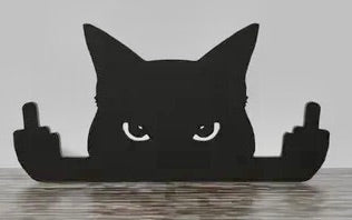 Flip Off Cat