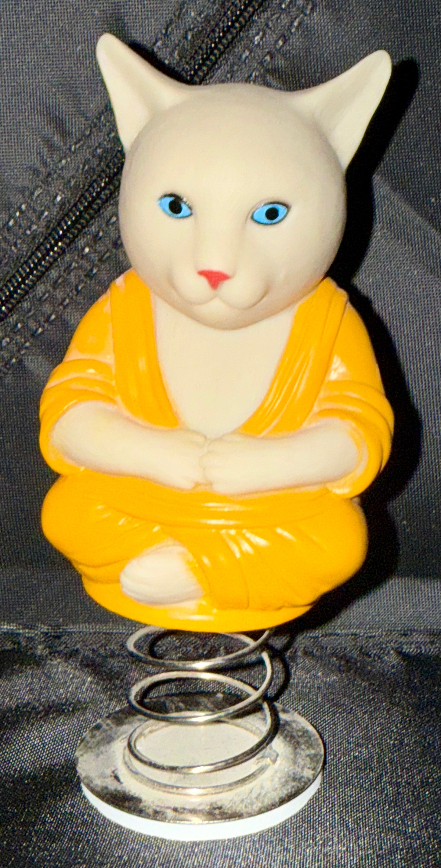 Levitating Zen Cat